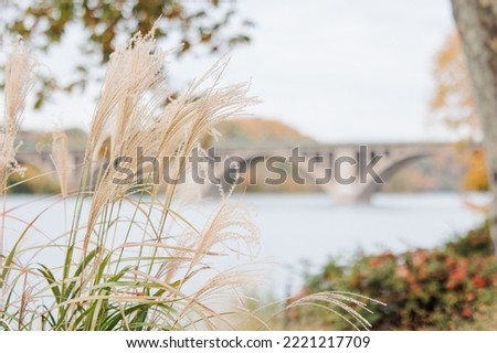 Key Bridge in the fall in Georgetown