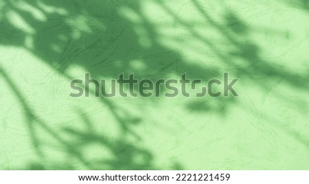 Abstract Background Shadow Leaves From window House Effect,Overlay Construction Concrete Green Cement Wall backdrop,Premium Design Mock up Banner Card Poster for Presentation Environment concept.