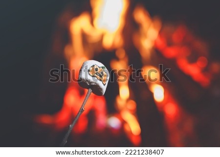 Marshmellows with Halloween pictures over fire. Funny leisure on traditional spooky holiday for children and families.