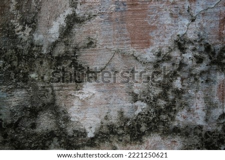 background concept with old cracked walls, wall surface with chipped cement, frame concept using old cracked and mossy walls