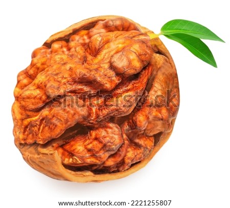 Walnut with leaf isolated. Walnuts nut kernel with green leaves on white. 