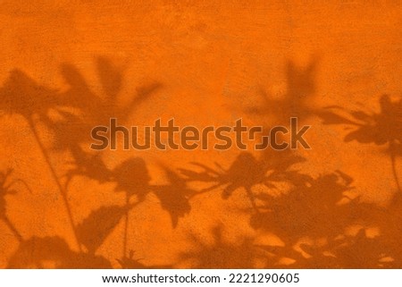 Abstract flowers shadows on orange concrete wall texture with roughness and irregularities. Abstract trendy colored nature concept background. Copy space for text overlay, poster mockup flat lay 