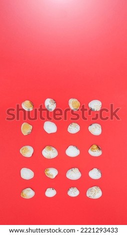 Seashells of different sizes and shapes are stacked in rows on a red background. View from above. Close-up.