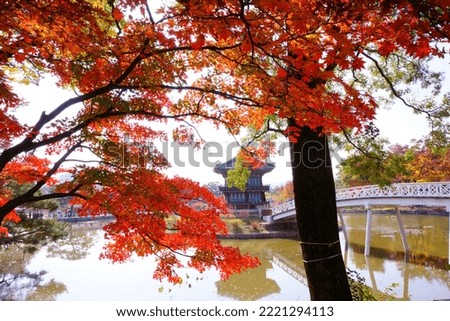 The scenery of Hyangwonjeong, the attractive point of Gyeongbokgung Palace, decorated with autumn leaves