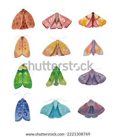 Magic night moth set. Bright mystical cute butterfly clip art	
