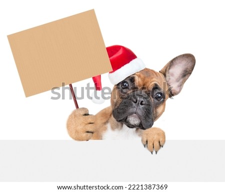 Funny french bulldog puppy wearing red santa hat looks above empty white banner and shows empty placard. isolated on white background.
