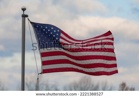 American flag waving in a breeze above the trees 