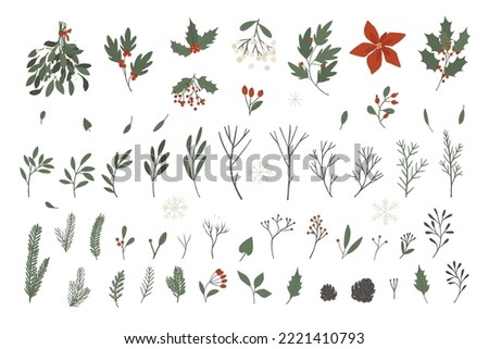 Winter floral set, berries and leaves. Vector hand drawn winter elements with leaf, fir, pine branches, berry. Botanical Christmas collection for invitations, greeting card, textile, fabric, posters.
