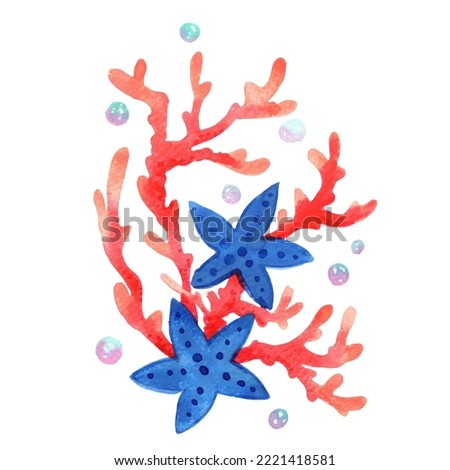 Starfish, coral with pearl bouquet for decoration on summer Christmas holiday.