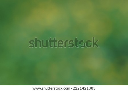 Blurred background. Green flowers and leaves in the grove. Background image.