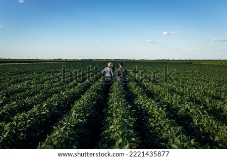 Rear view of two farmers in a field examining soy crop.