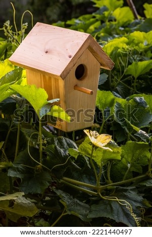 This is a Picture of a birdhouse located in vegetable garden.