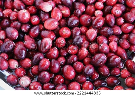 Fresh cranberries in a colander with water for making homemade cranberry sauce or relish with. Overhead top view.