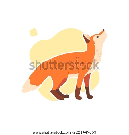 Cute fox isolated vector image