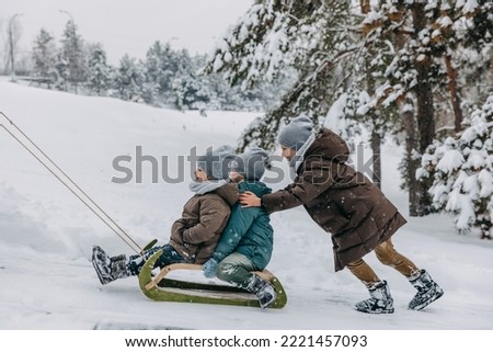 Children sledding on a wooden sledge, on a cold snowy winter day.