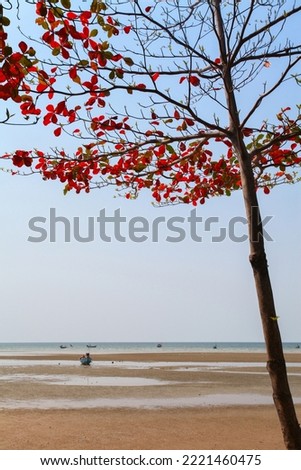 a tree whose leaves turn red standing on the beach There is a sea and a boat blue sky backdrop