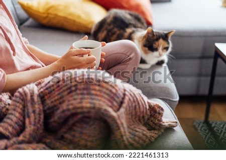 Close-up woman in a plaid drinking hot tea with relaxed cat on the sofa at home. Cozy and comfortable winter or autumn weekends. Pleasant ways to keep warm. Take a break and relax. Selective focus.
