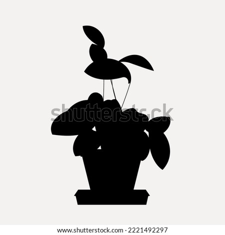 Silhouettes collection of decor house indoor garden plants in pots and stands graphic set