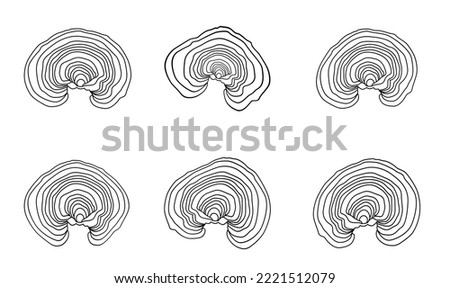  A set of contour drawings Lacquered Tinder mushroom, or lacquered Ganoderma (also possible names Lingzhi or Reishi (Ganoderma lucidum) Royalty-Free Stock Photo #2221512079