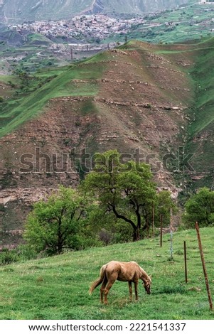 The horse eats grass against the backdrop of the mountains. Vertical orientation.