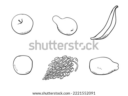Vector sketch fruits icons set