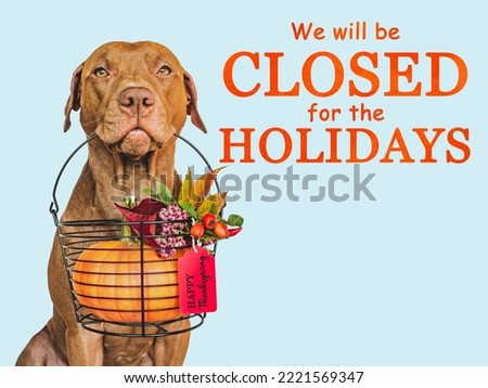 Signboard with the inscription We will be closed for the Holidays. Charming brown dog and bright background. Close-up, indoors. Studio shot. Pet care concept