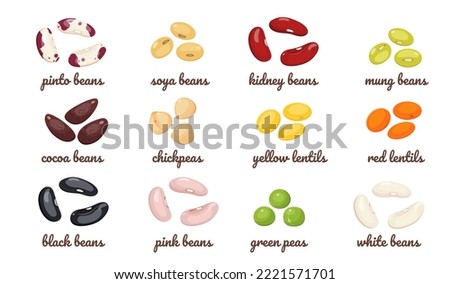 Legumes with different types of beans. Vector set of lentil seeds, chickpeas, green peas, cocoa and soybeans. Protein raw food for vegetarians. Royalty-Free Stock Photo #2221571701