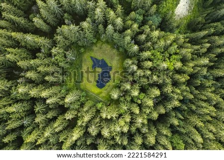 Aerial top view forest tree. Rainforest ecosystem. Drone photography. Lake in the middle of the forest. Slovakia Royalty-Free Stock Photo #2221584291
