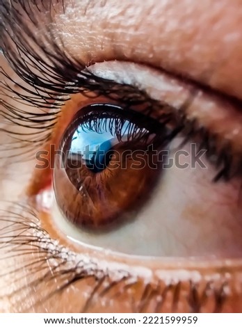 This Photo is about closeup shot eye pupil