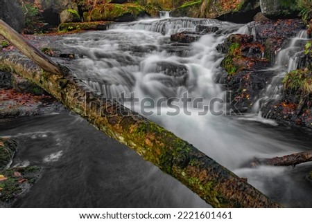 Cerna Desna creek in Jizerske mountains in autumn color fresh morning
