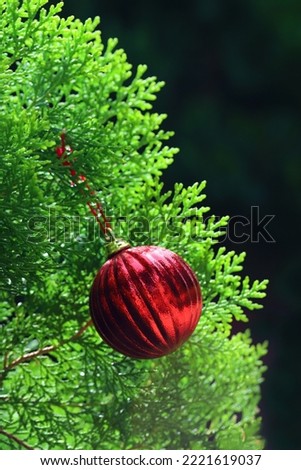 A red Christmas ball ornament hanging on pine leaves, image for mobile phone screen, display, wallpaper, screensaver, lock screen and home screen or background  