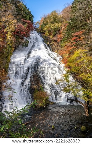 Colorful majestic waterfall in national park forest during autumn nature Photography.Landscape view national nature park Nikko Japan. Beautiful place
