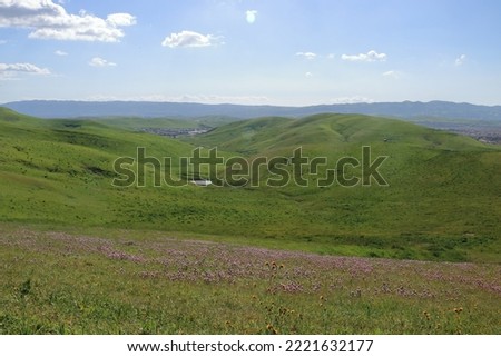 Purple Owl's Clover and Fiddleneck flowers blooming in the spring on the hills of the East Bay Royalty-Free Stock Photo #2221632177