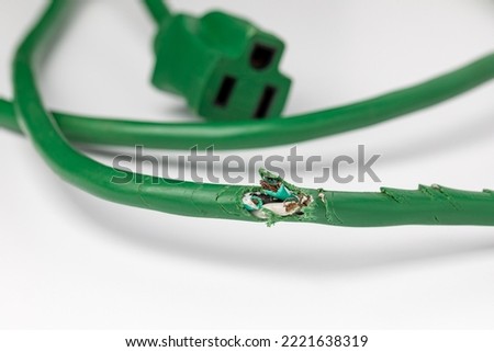 Electrical extension cord wiring damage from mice. Rodent control, mouse infestation and home repair concept. Royalty-Free Stock Photo #2221638319