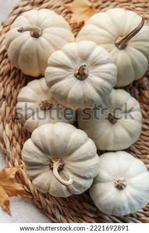 Thanksgiving or harvest flatlay with pumpkins on grey concrete background. Autumn fall concept. Holiday decor. 