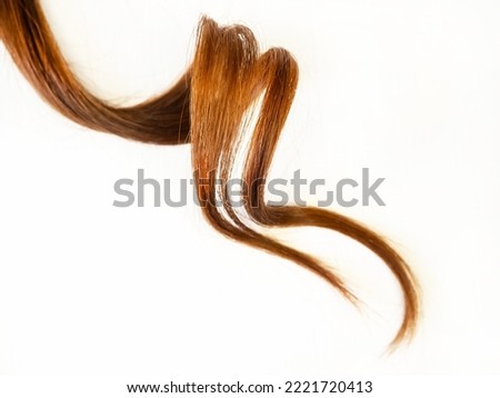 A strand of red hair. Healthy wavy female hair on a white background. Hair care concept. Curl.