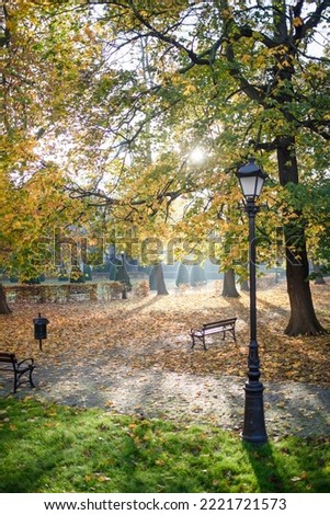 Park behind the baroque parish church, Former jesuit college. Old Town in Poznan, Poland. Royalty-Free Stock Photo #2221721573
