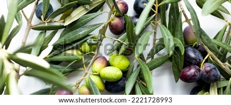 olives and olive branches on a white background. View from above.