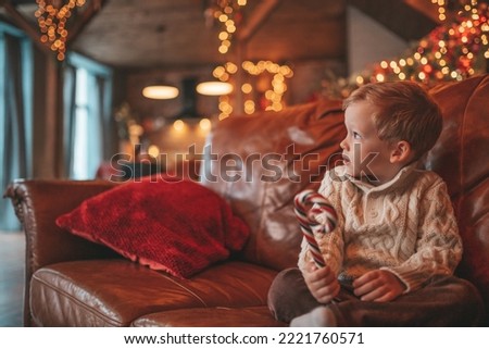 Happy little boy dreamer waiting at miracle Santa enjoy sweets color lollipop. Cheerful kid in knitwear outfit celebrating new year hold Xmas cup with marshmallows at bokeh lights noel eve 25 december