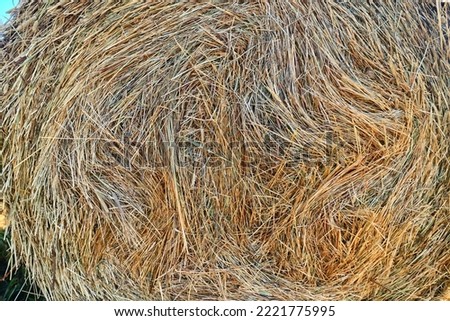 straw background abstract texture grass dry