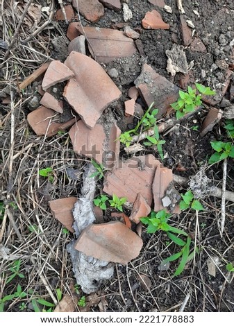 Roof tile ruins on the ground filled with weeds