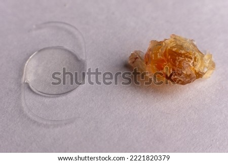 closeup photo of real eye lens removed from human suffering from cataract beside intra ocular lens Royalty-Free Stock Photo #2221820379