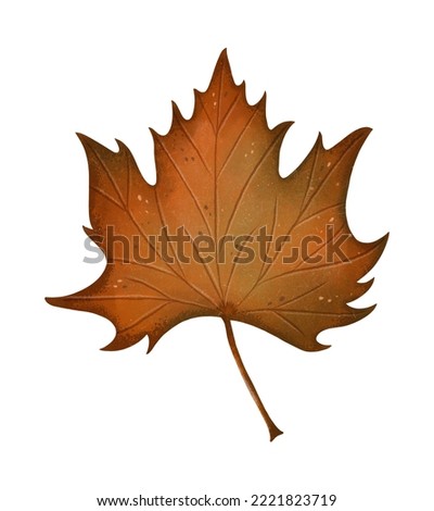 maple leaf autumn illustration on white background