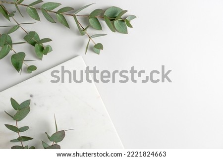 Empty marble podium and green eucalyptus branches on light grey background top view. Fresh natural mockup for cosmetic product advertising. Eco concept. Copy space for text. Royalty-Free Stock Photo #2221824663