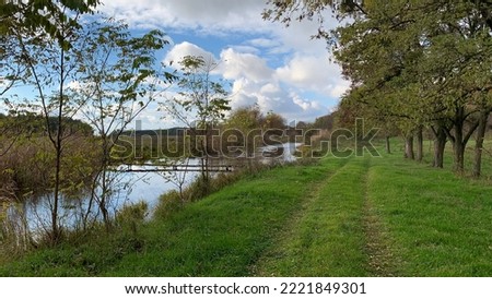 Landscape of the Ukrainian bank of a small river, with reeds, grass, fallen leaves bridge and trees. Warm autumn day