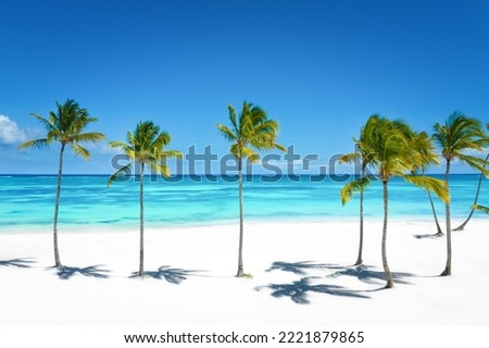 Juanillo beach with palm trees, white sand and turquoise caribbean sea water. Cap Cana is a tourist area in Dominican Republic. Aerial view Royalty-Free Stock Photo #2221879865
