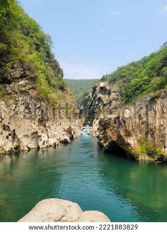 Vertical image of the Tamul river, in the Huasteca Potosina from a boat, Mexico