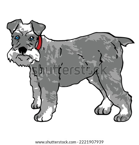 Schnauzer Dog Pet Colored Drawing