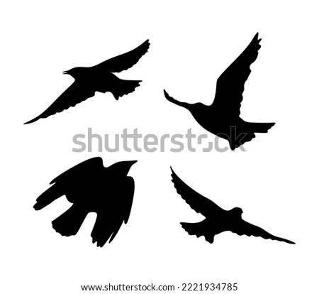 Set of silhouettes of crows isolated. Collection of different birds position in black. vector eps10
