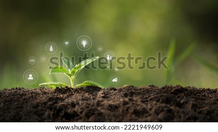 agricultural growth concept It has both the benefits of soil and plants. Including the use of artificial intelligence agriculture technology in 5G Industry 4.0 technology that needs to be improved. ai Royalty-Free Stock Photo #2221949609